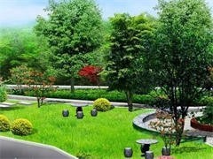 上海城市綠化養(yǎng)護服務(wù) 守護城市生態(tài)之美