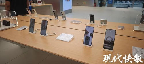 前5月南京經濟穩健增長，‘以舊換新’政策顯效，汽車與家電零售額大幅攀升